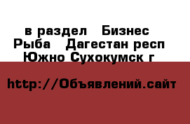  в раздел : Бизнес » Рыба . Дагестан респ.,Южно-Сухокумск г.